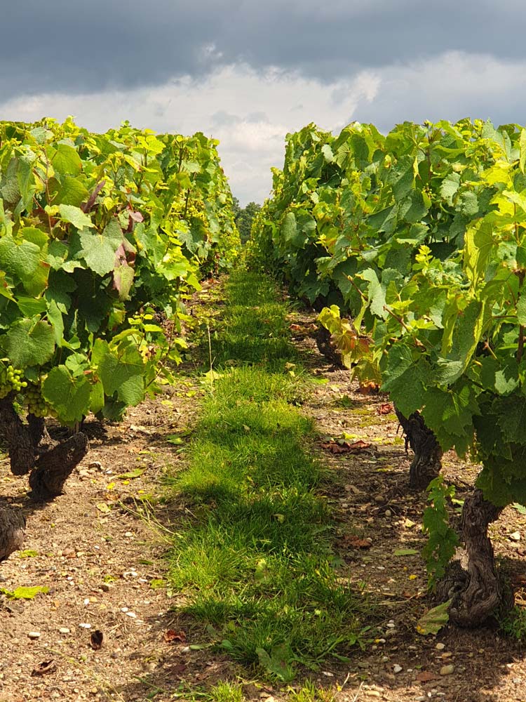 domaine-chatelet-cremant-et-beaujolais